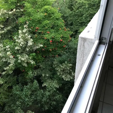 Apartment Lotus *